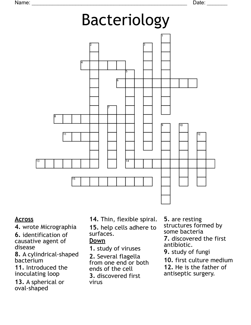 Bacteriology Crossword WordMint