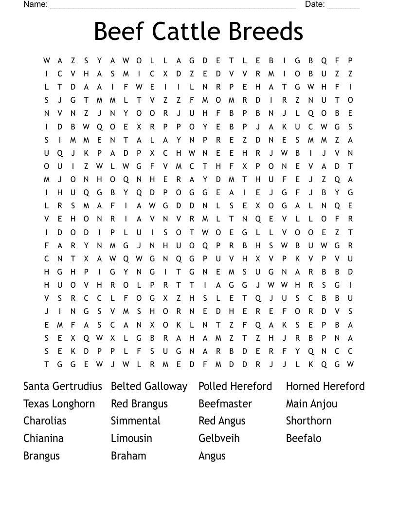 Breeds of cattle Crossword WordMint