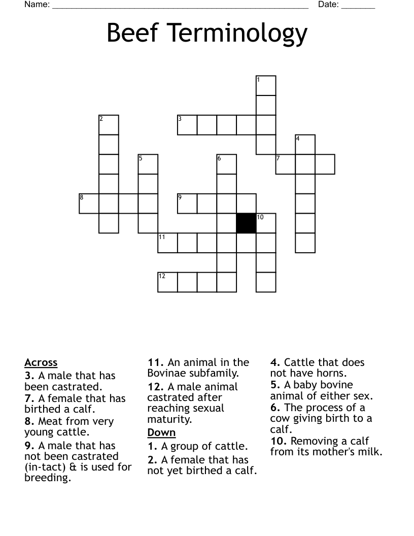 Beef Terminology Crossword WordMint