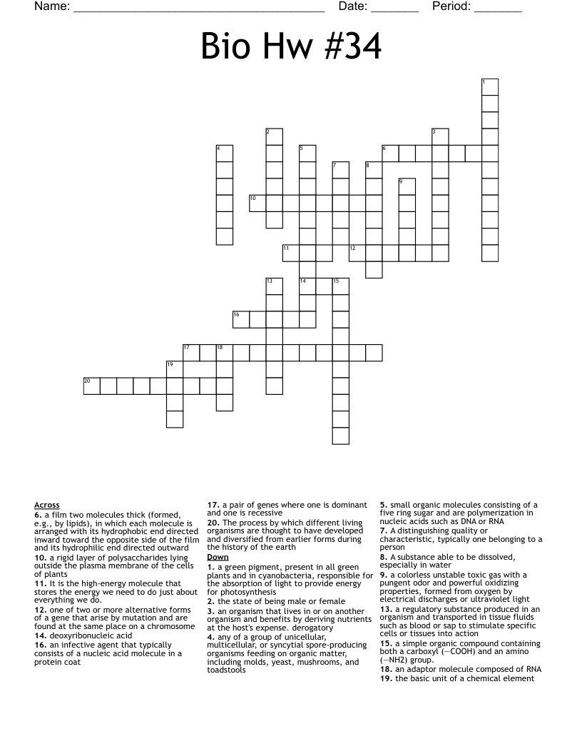 Bio Hw 34 Crossword WordMint
