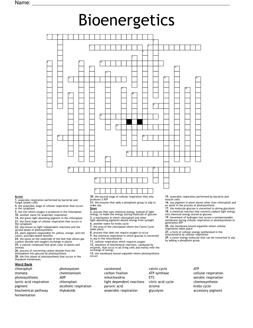 Bioenergetics Crossword WordMint