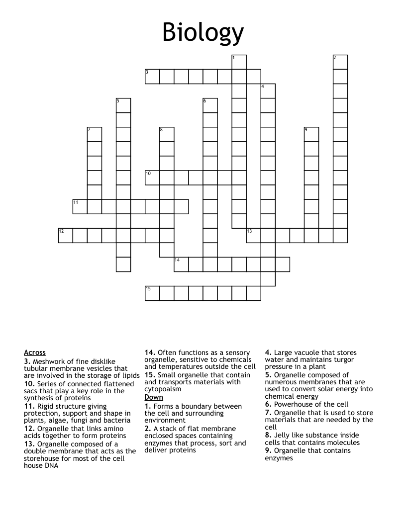 Biology Crossword WordMint