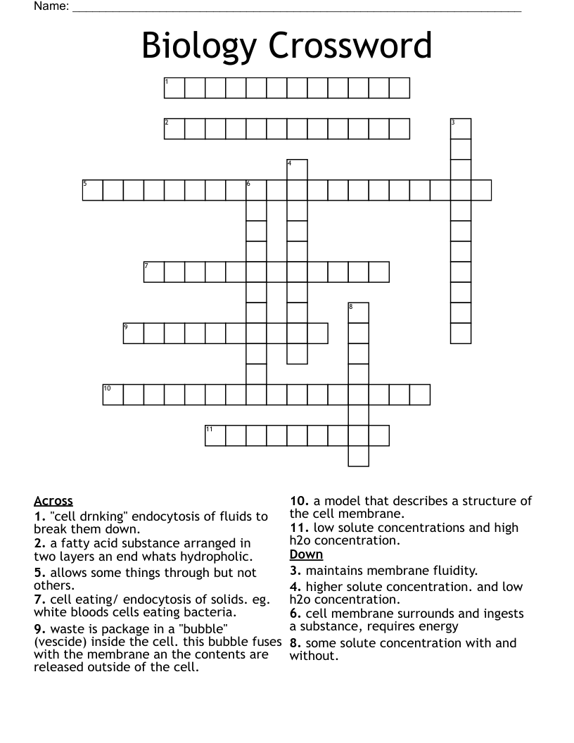 Biology Crossword WordMint