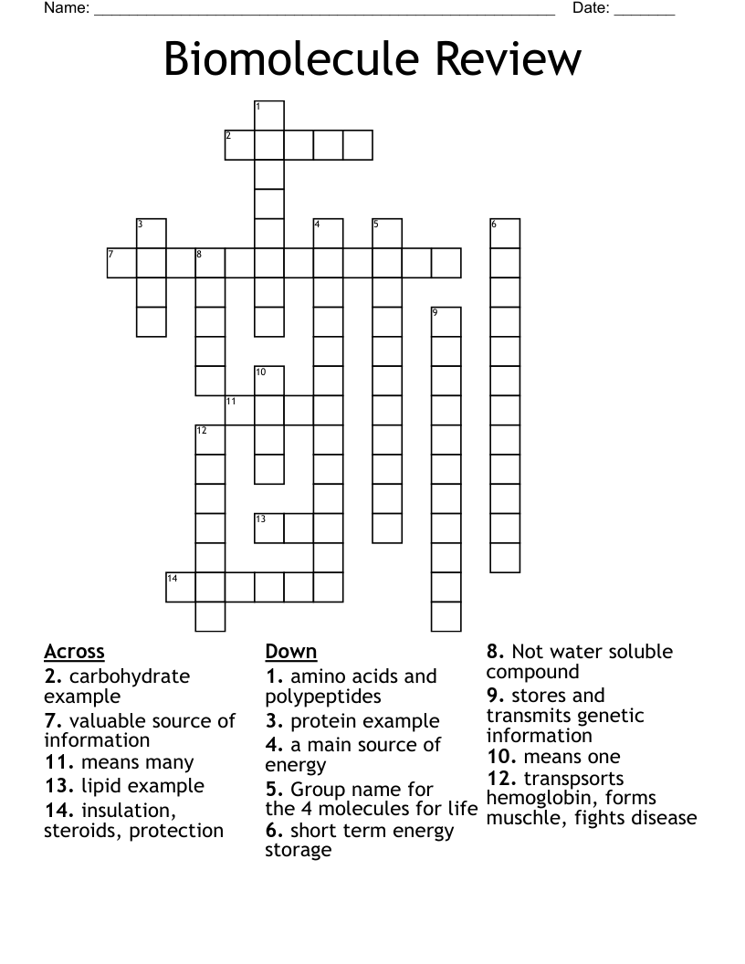 Biomolecules Crossword Puzzle Answer Key - prntbl