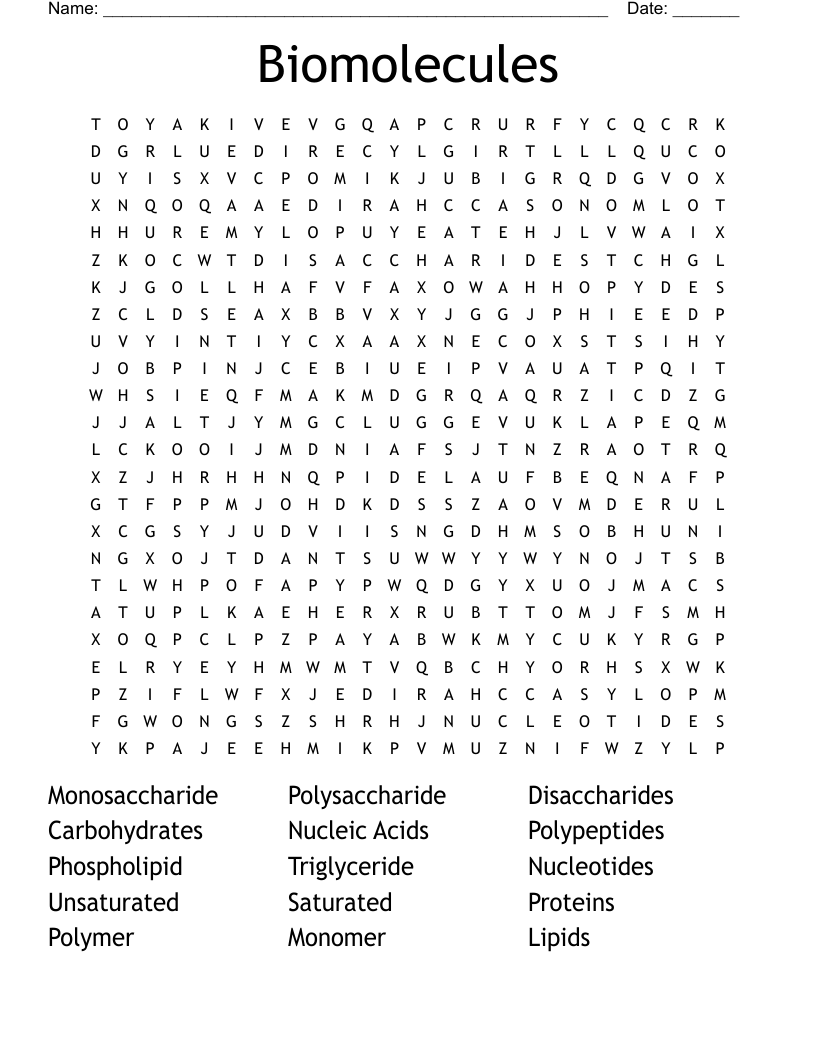 Biomolecules Word Search WordMint