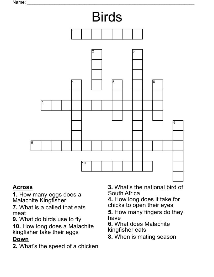 Birds Crossword WordMint