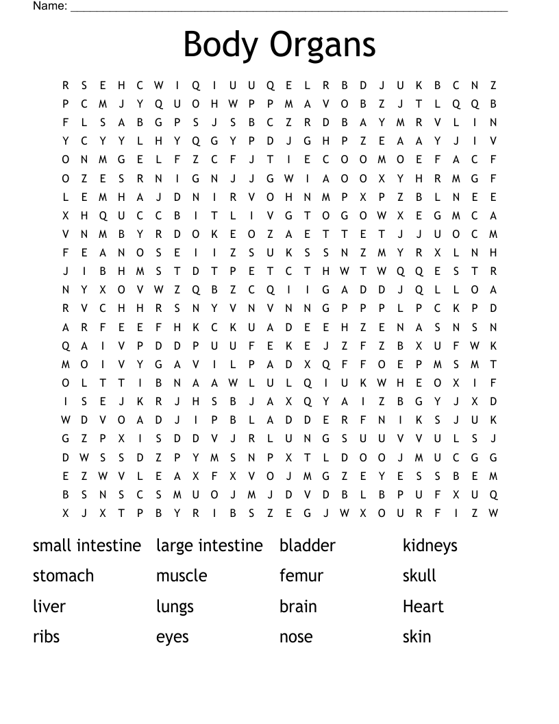 Organs Around Your Body Word Search WordMint