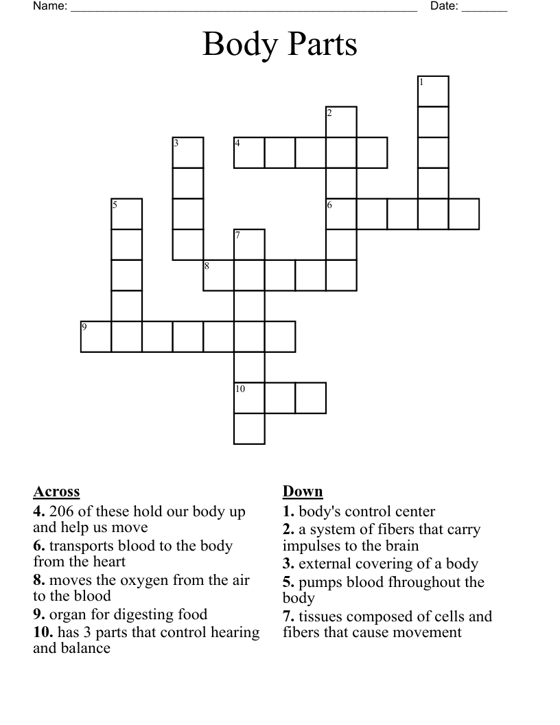 Body Parts Crossword WordMint