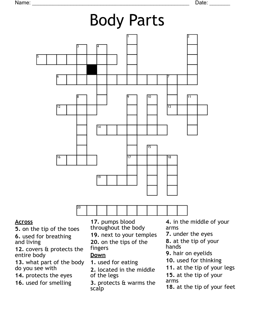 Body Parts Crossword - WordMint