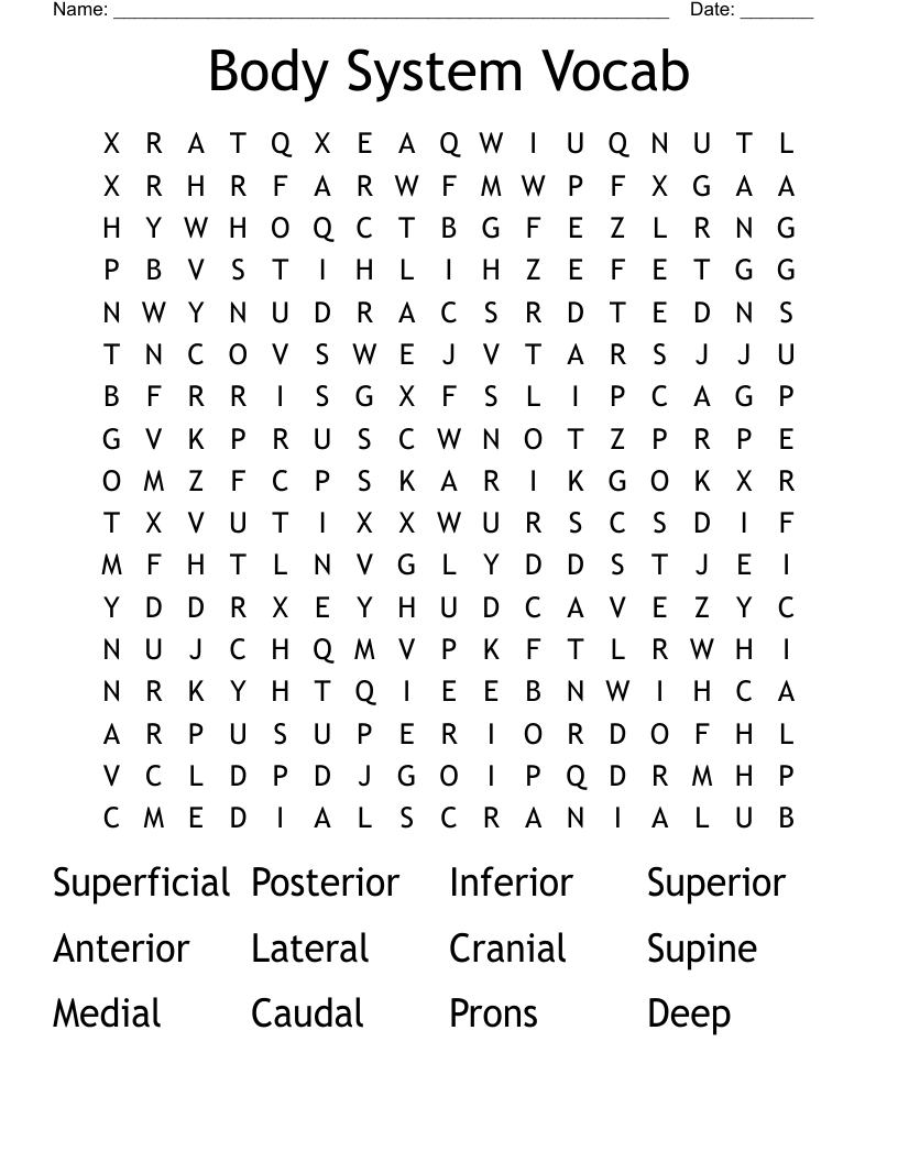 Body System Vocab Word Search WordMint