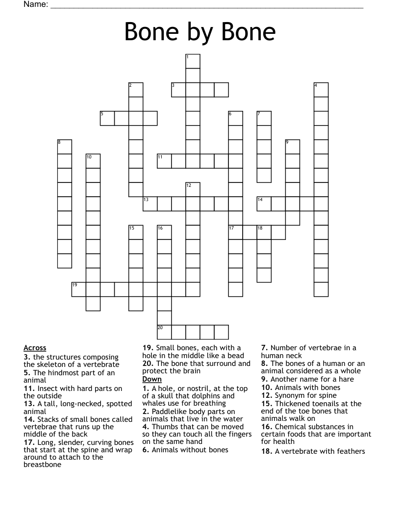 Bone by Bone Crossword WordMint