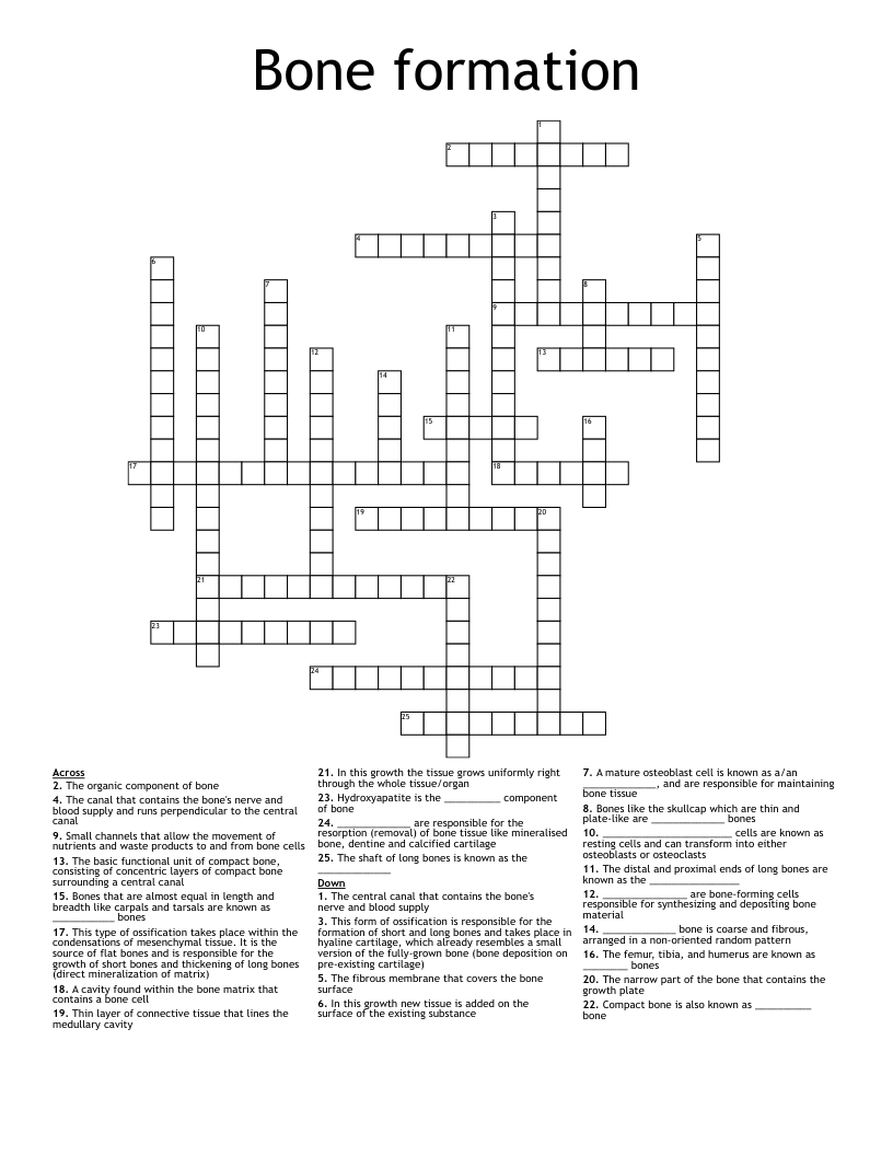 Bone formation Crossword WordMint
