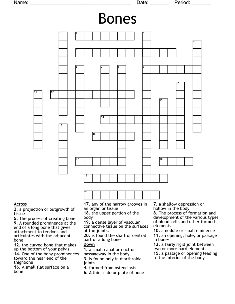 Bones Crossword WordMint