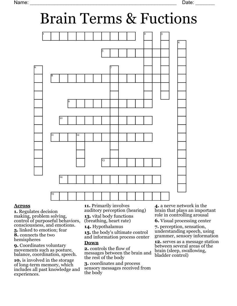 Brain Terms & Fuctions Crossword WordMint