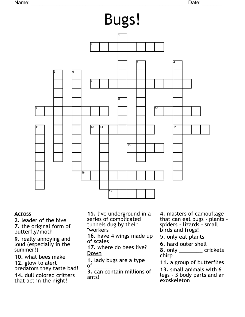 Bugs! Crossword WordMint