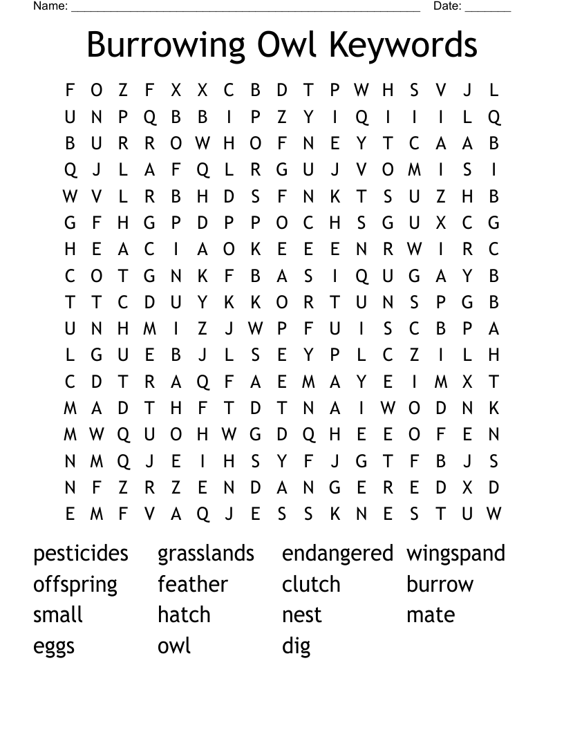 Burrowing Owl Keywords Word Search WordMint