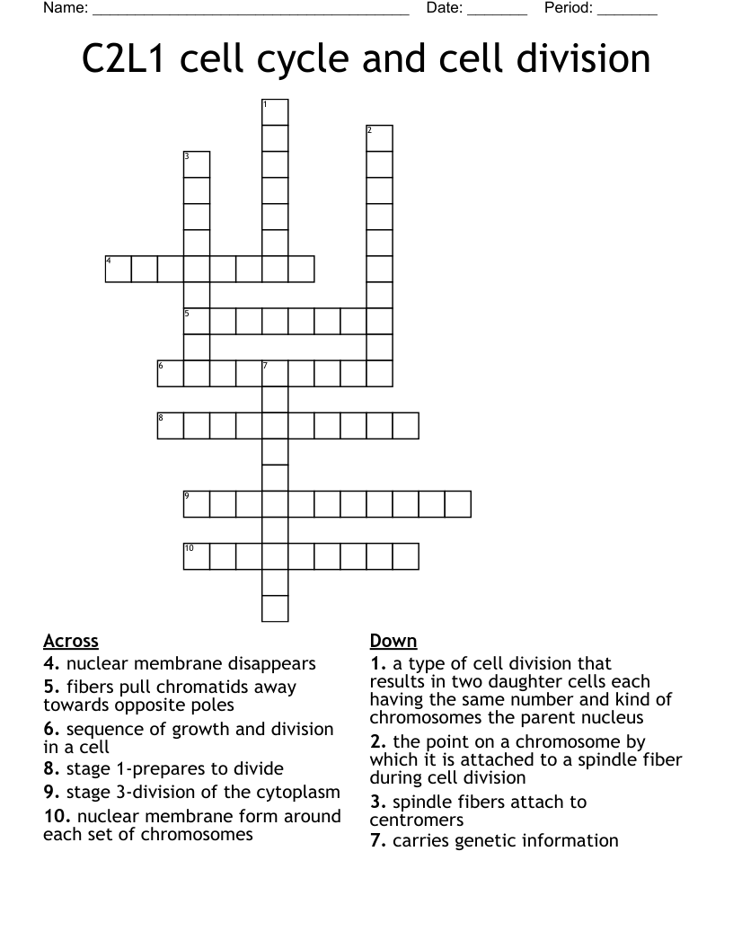 Cell Cycle And Mitosis Crossword Puzzle Answers In this crossword