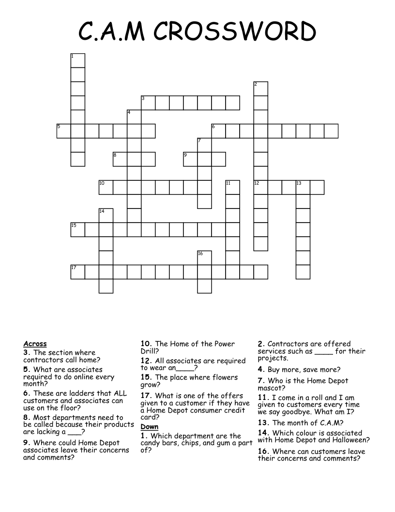 C.A.M CROSSWORD WordMint