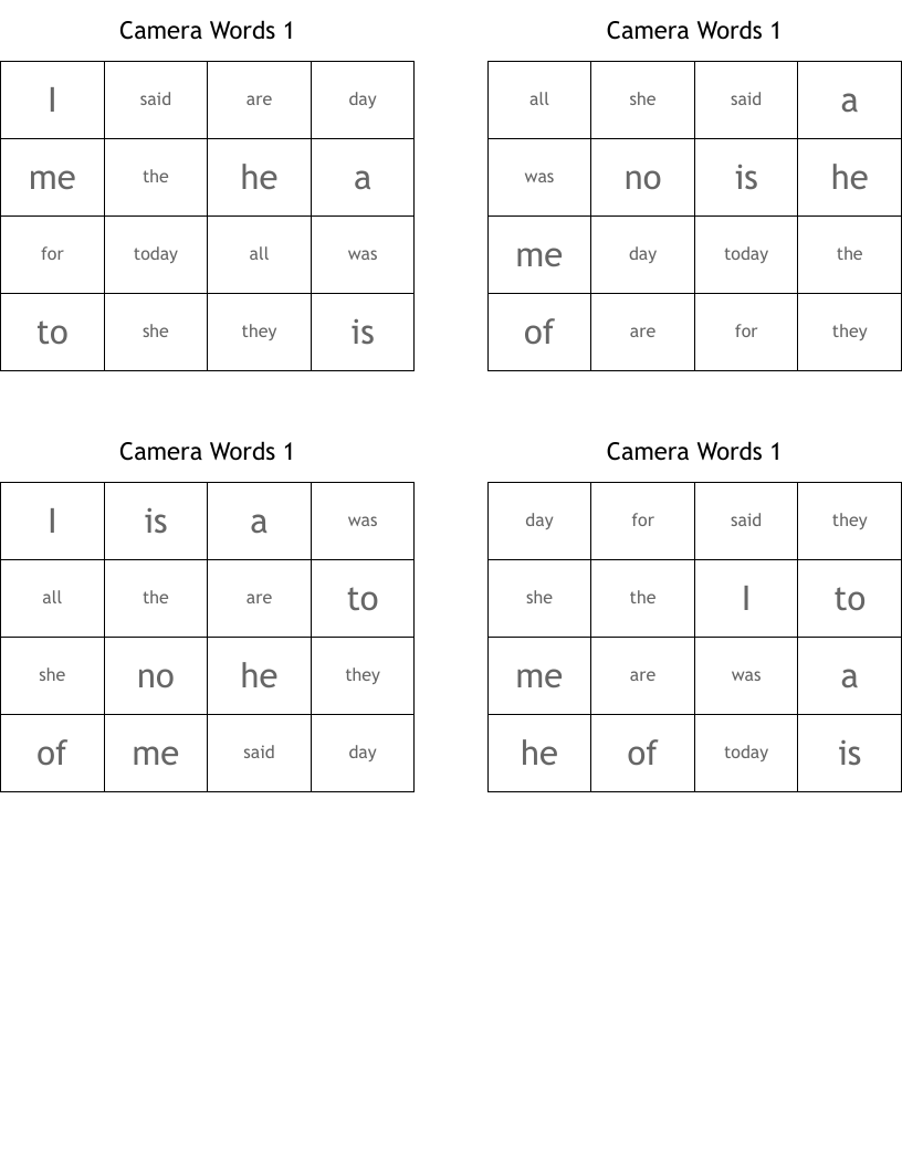 Camera Words 1 Bingo Cards WordMint