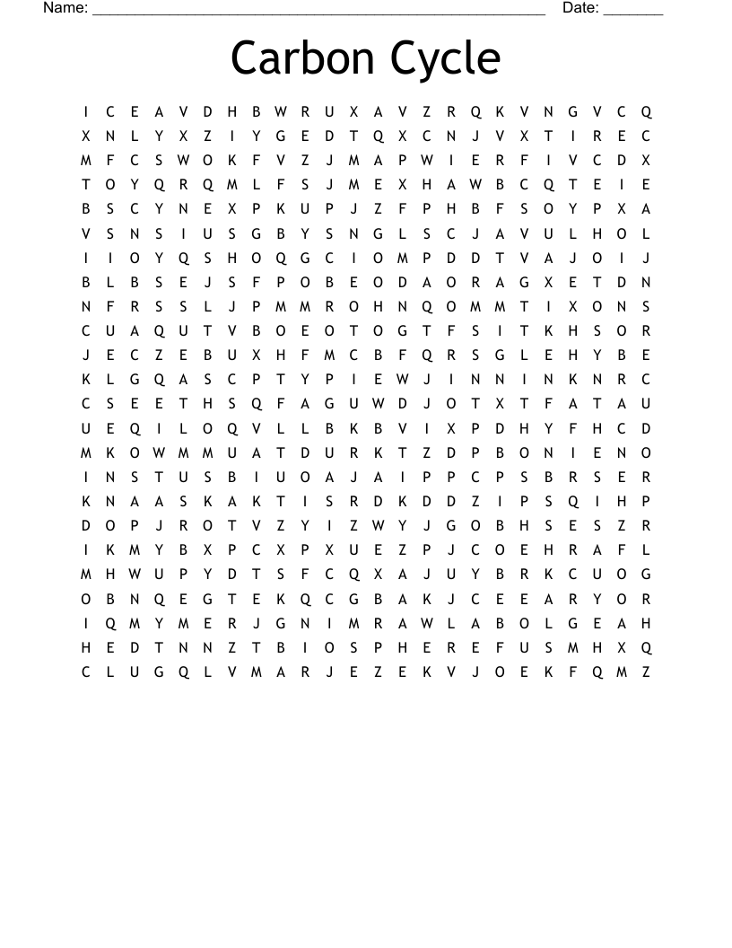Carbon Cycle Word Search WordMint