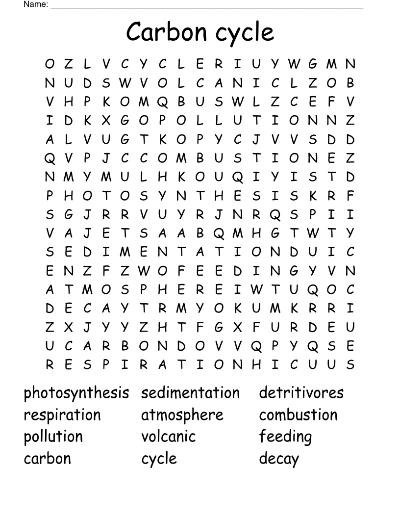Carbon cycle Word Search WordMint