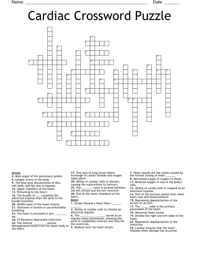 Cardiac Crossword Puzzle WordMint