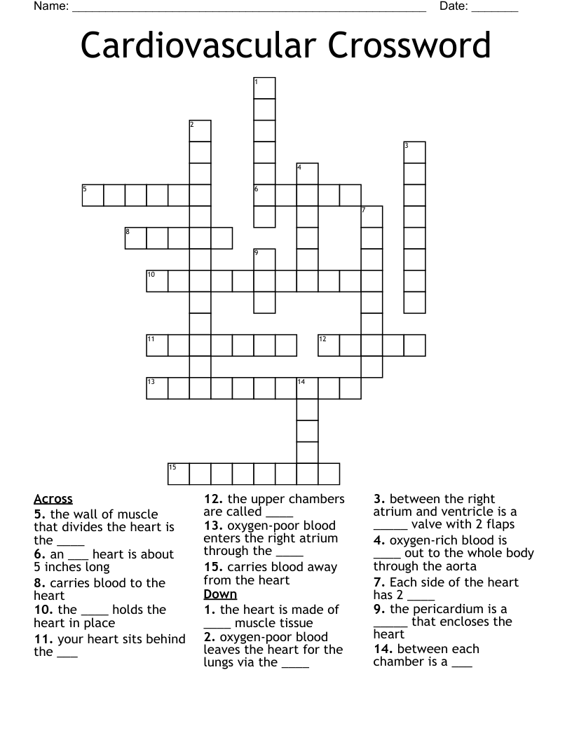 Cardiovascular Crossword WordMint
