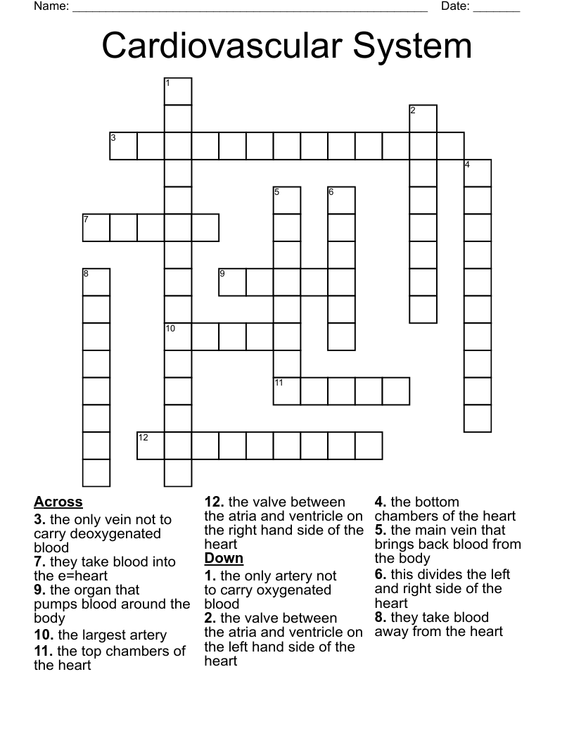 Cardiovascular System Crossword WordMint