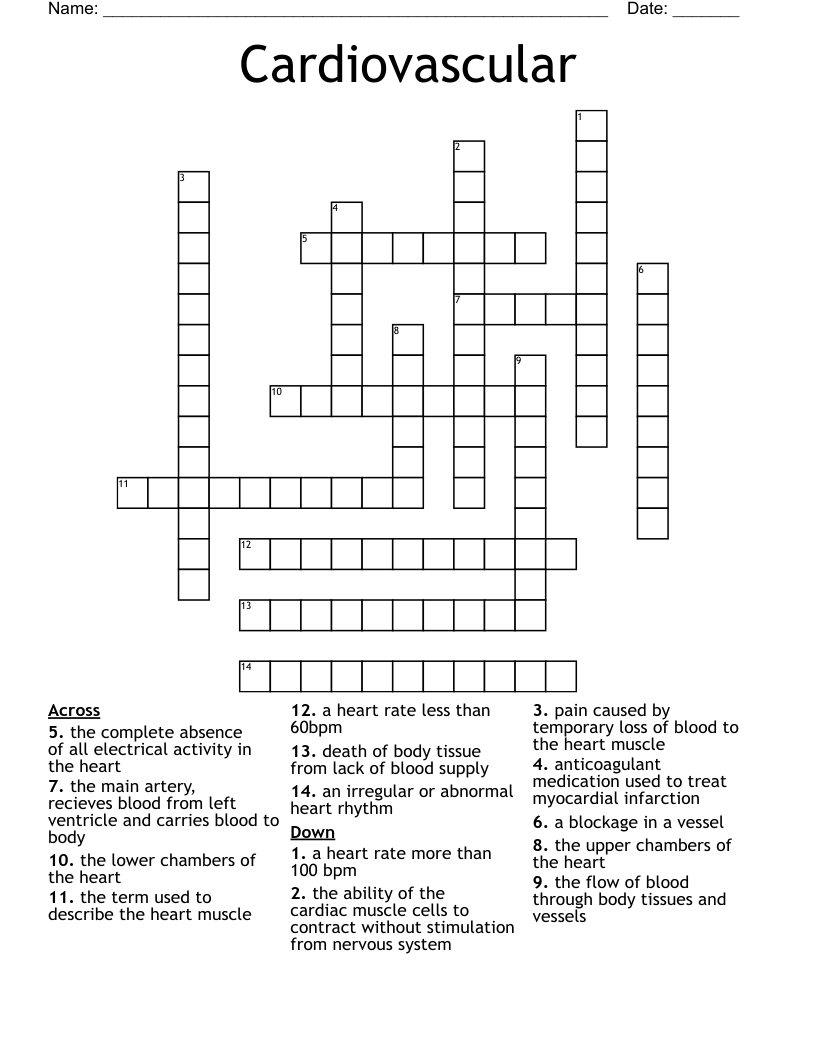 Cardiovascular Crossword WordMint