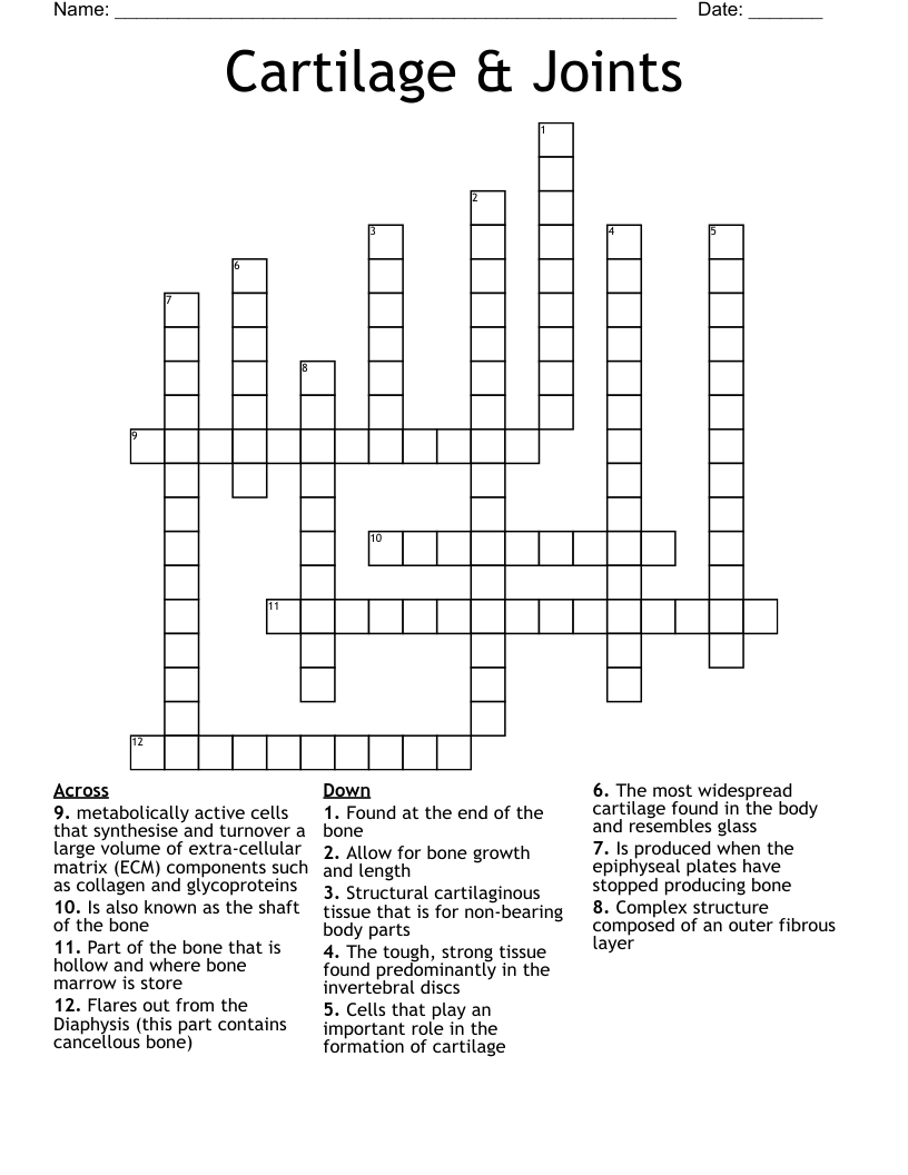Cartilage & Joints Crossword WordMint