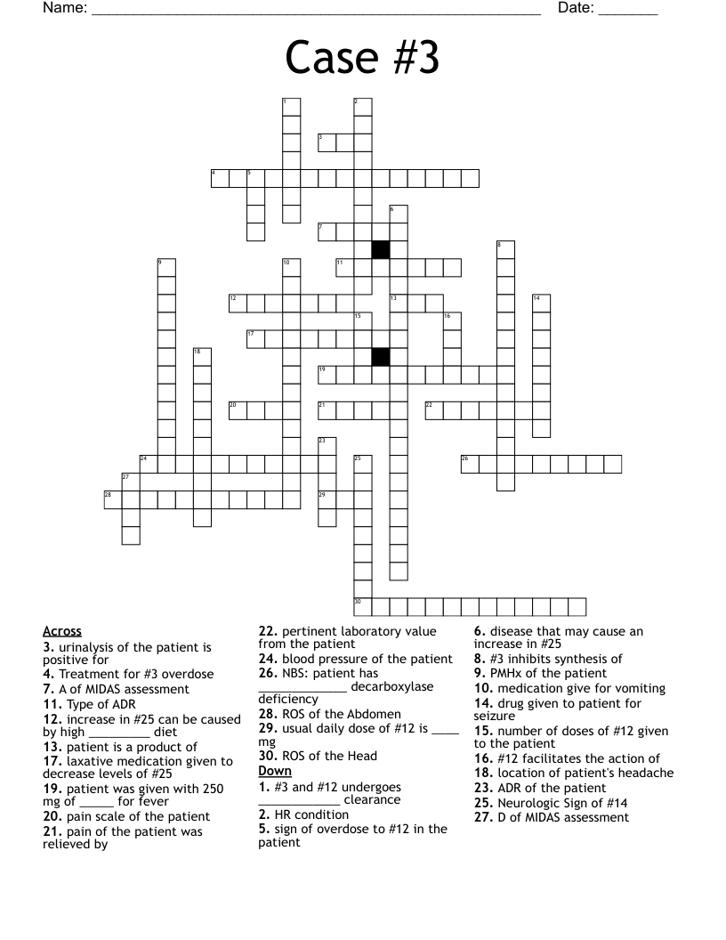 Case 3 Crossword WordMint