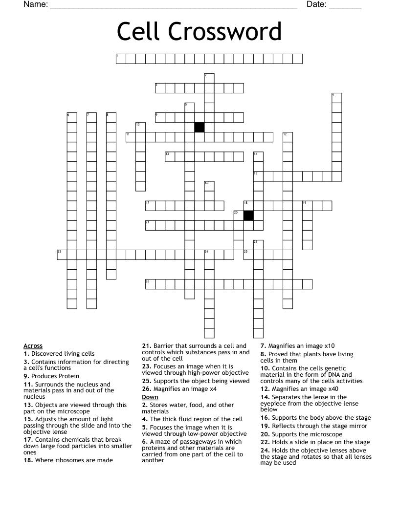 Science Crosswords, Word Searches, Bingo Cards WordMint