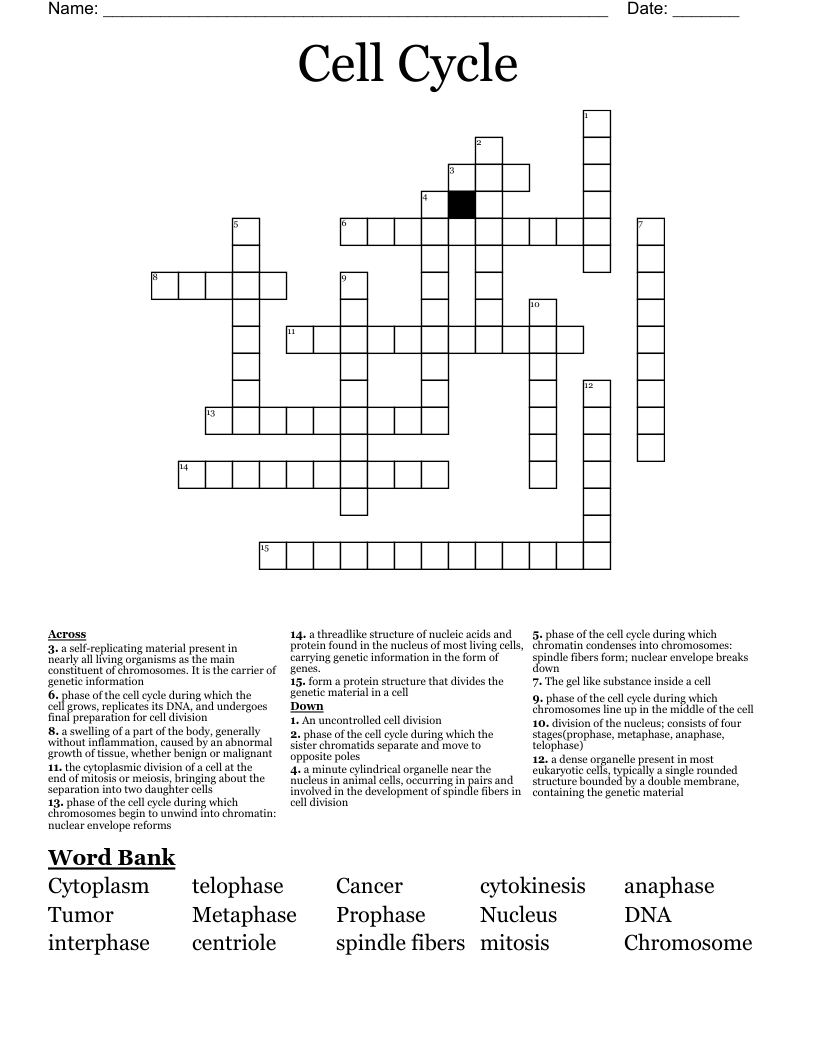 Cell Cycle Crossword WordMint