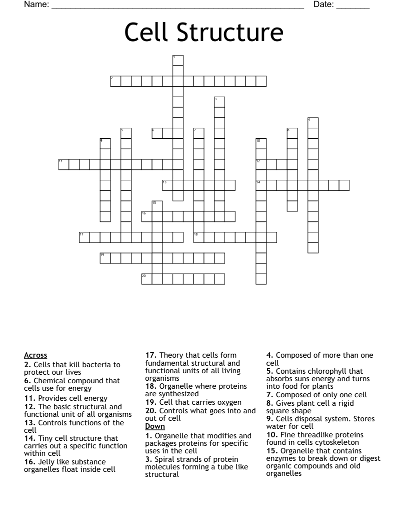 Cell Structure Crossword WordMint
