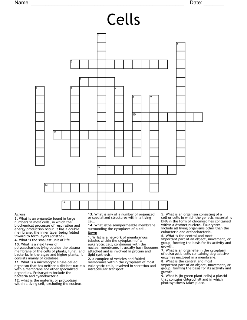 Cells Crossword WordMint