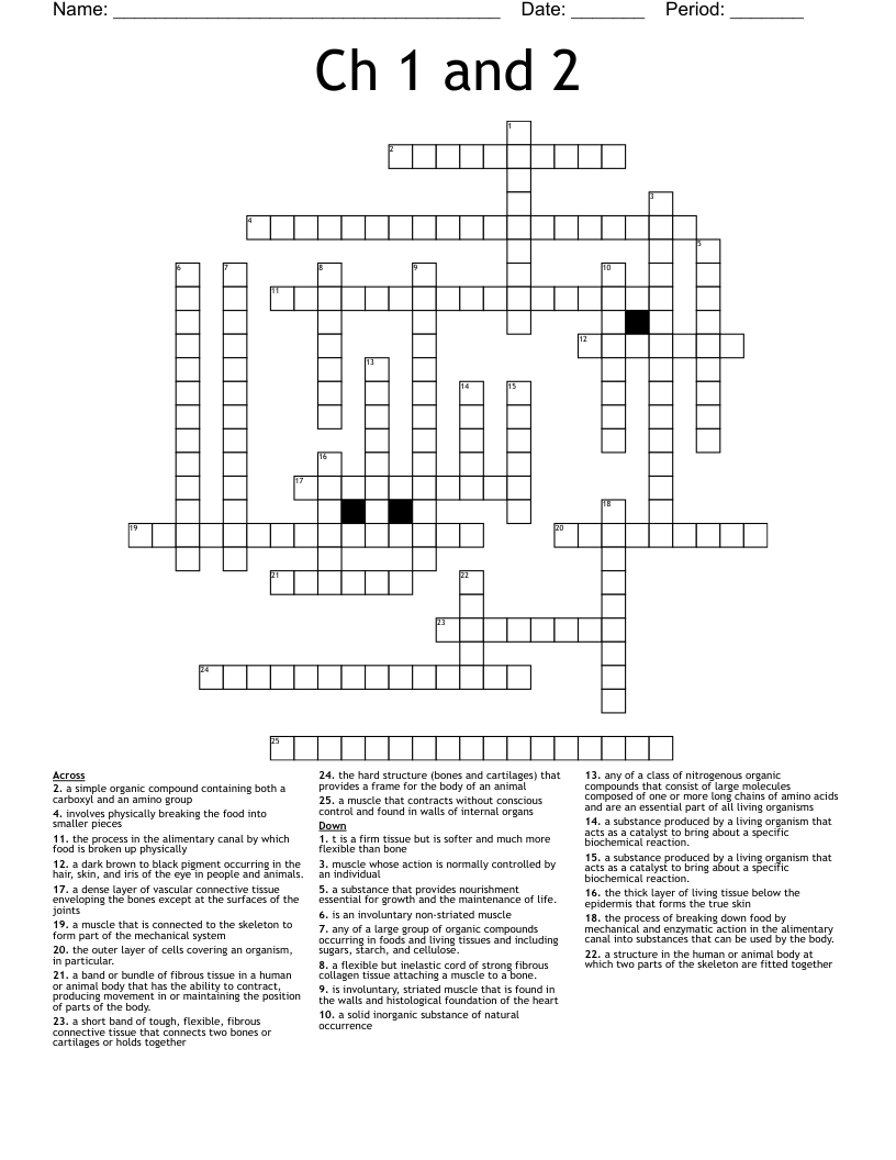 Ch 1 and 2 Crossword WordMint