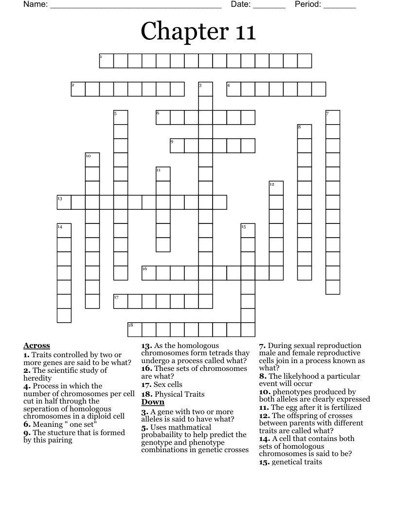 Chapter 11 Crossword WordMint