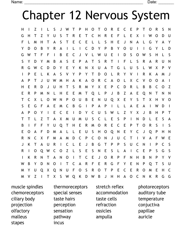 Chapter 12 Nervous System Word Search WordMint