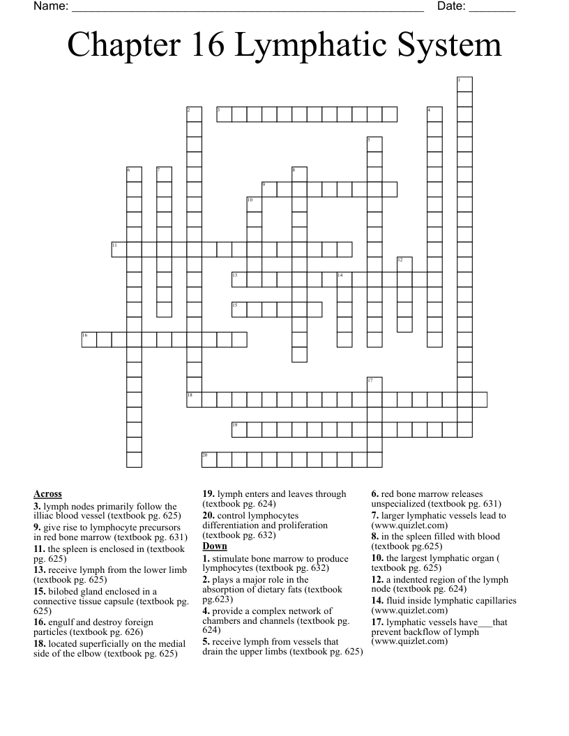 Chapter 16 Lymphatic System Crossword WordMint