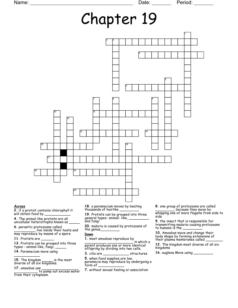 Kingdom Protist (a) and Animallike Protists Crossword WordMint