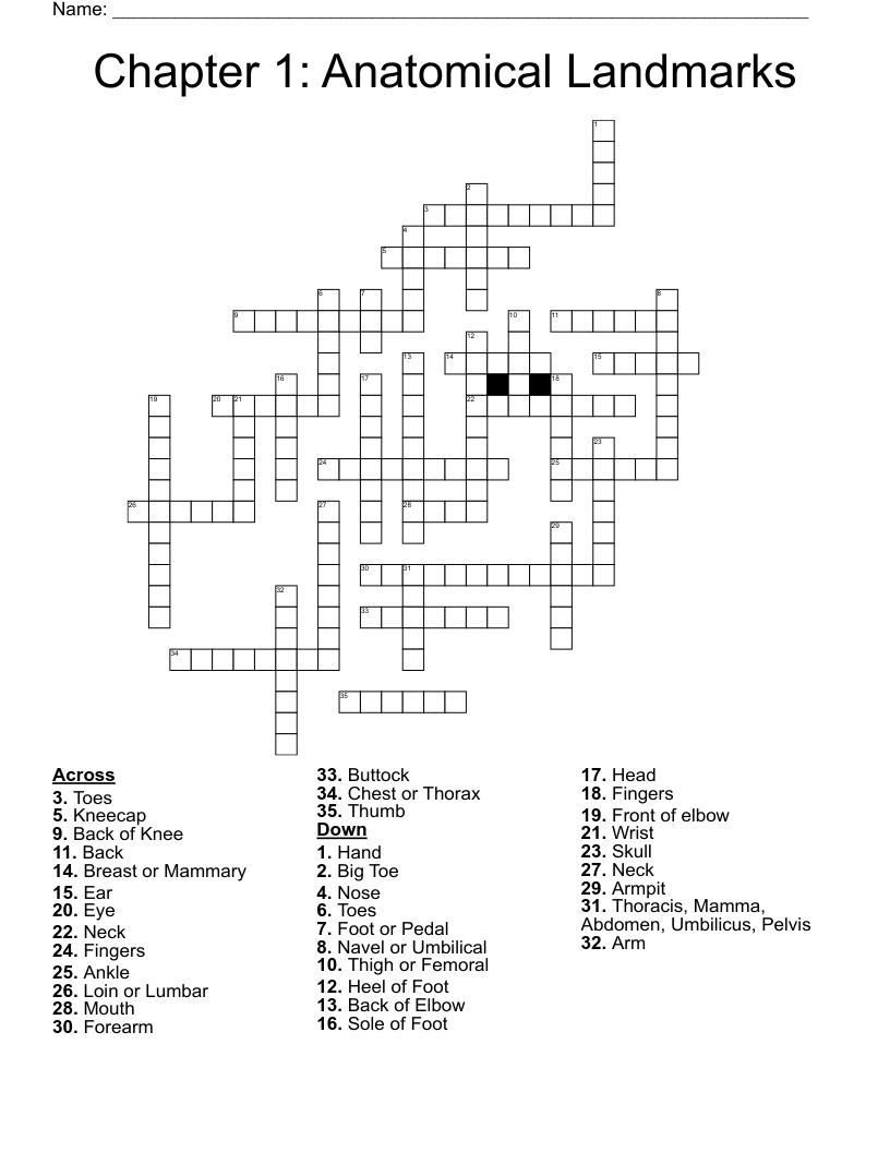 Chapter 1 Anatomical Landmarks Crossword WordMint