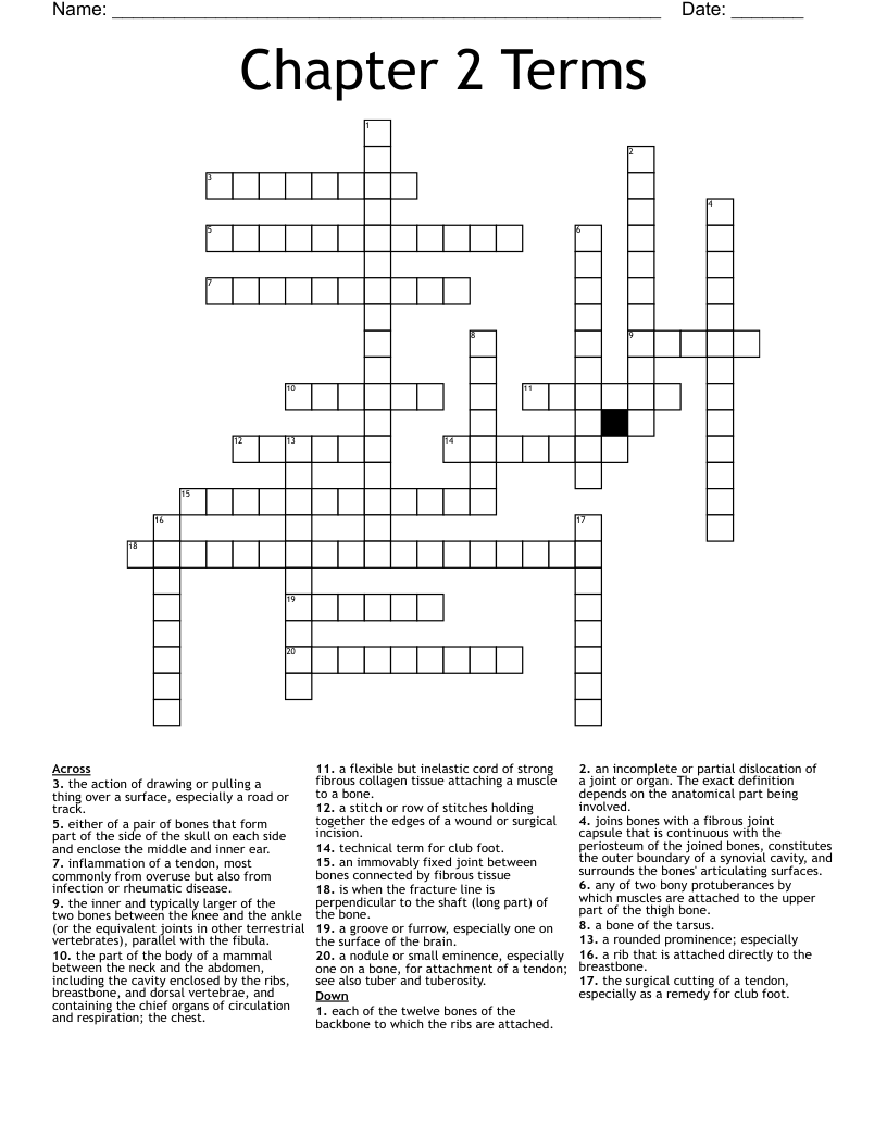 Chapter 2 Terms Crossword WordMint