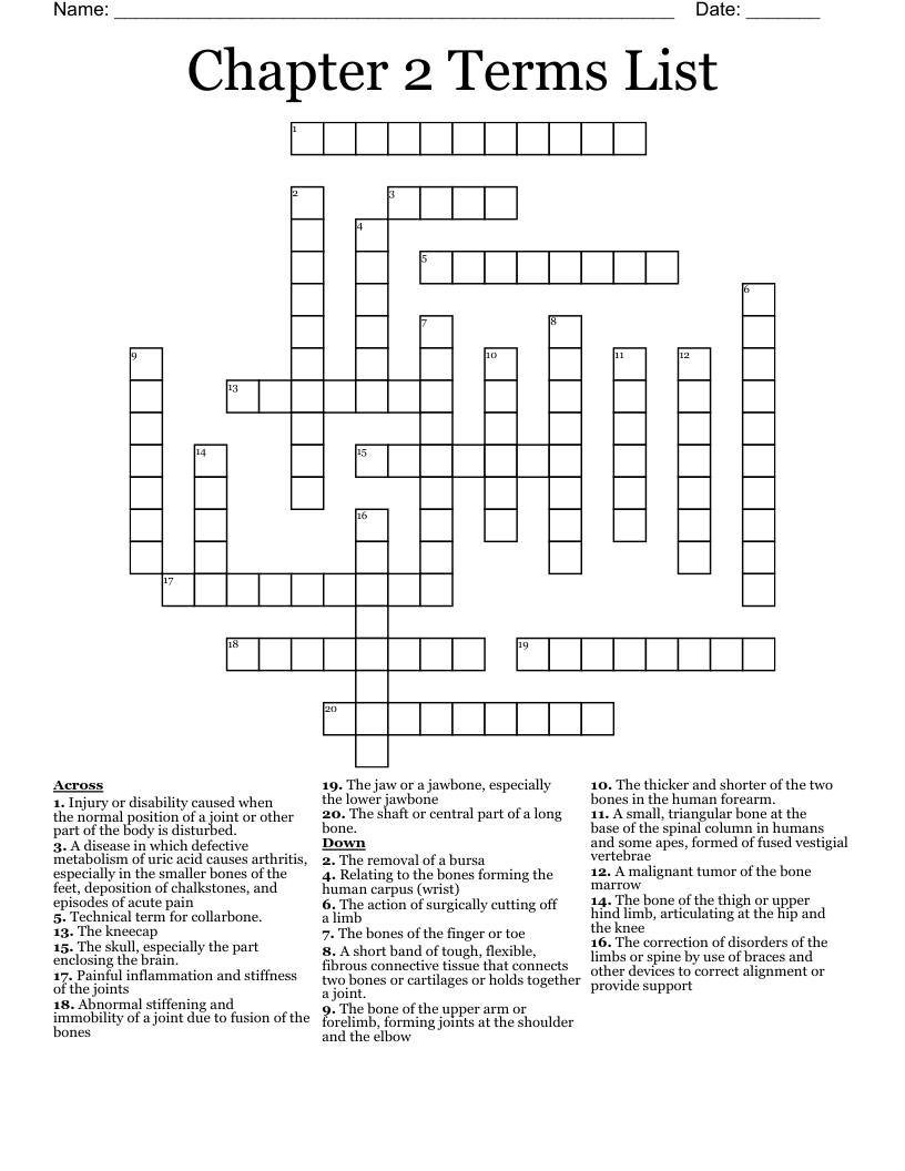 Chapter 2 Terms List Crossword WordMint