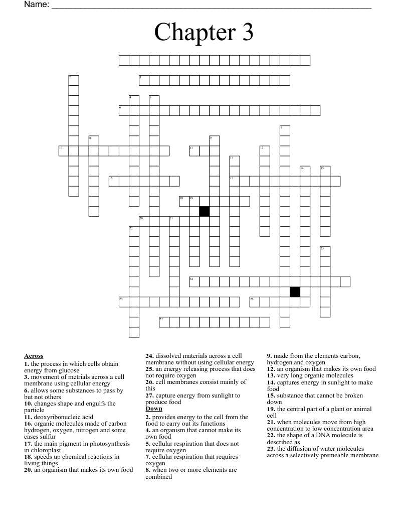 Chapter 3 Crossword WordMint
