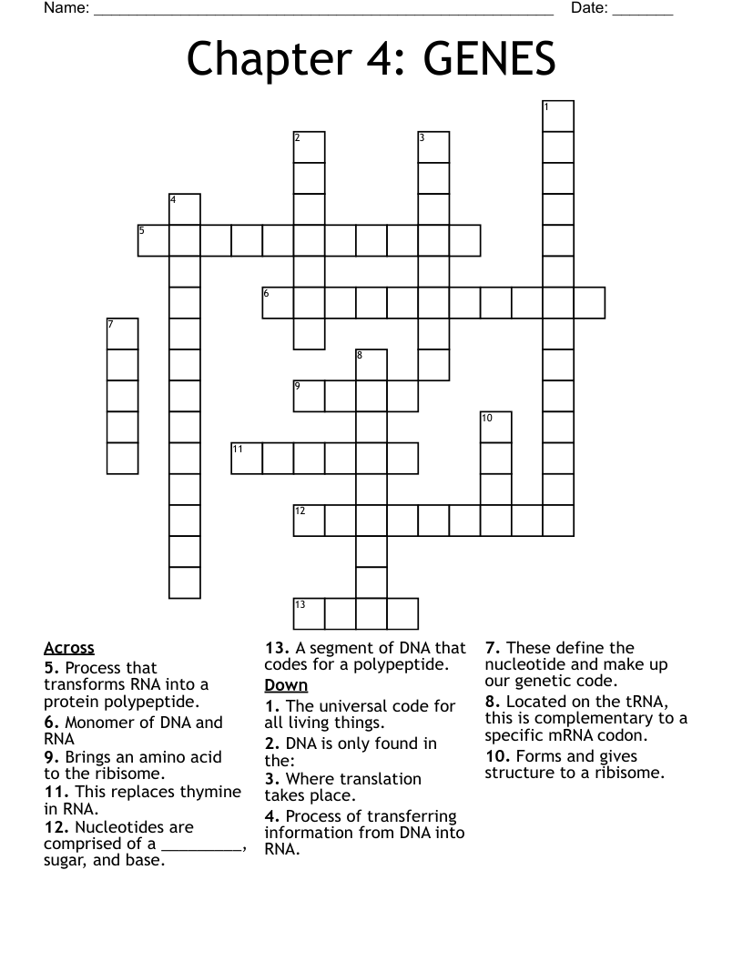 Chapter 4 GENES Crossword WordMint
