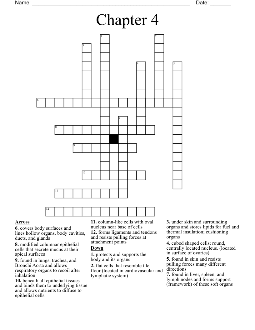 Chapter 4 Crossword WordMint