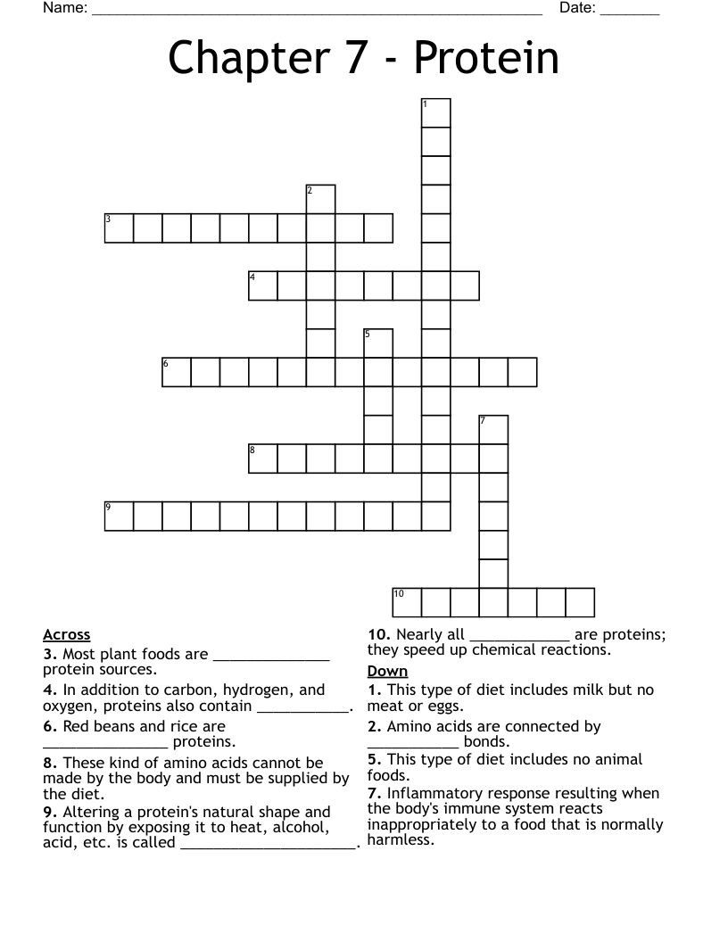 Chapter 7 Protein Crossword WordMint
