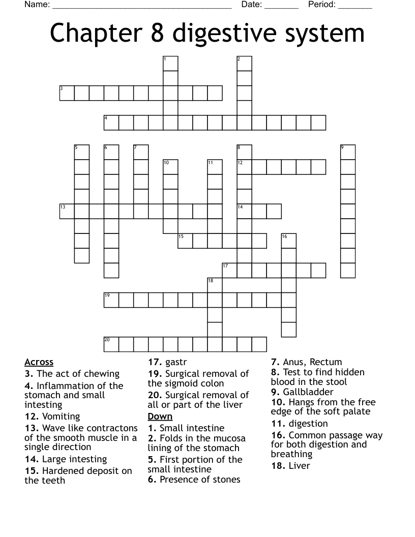 Chapter 8 digestive system Crossword WordMint