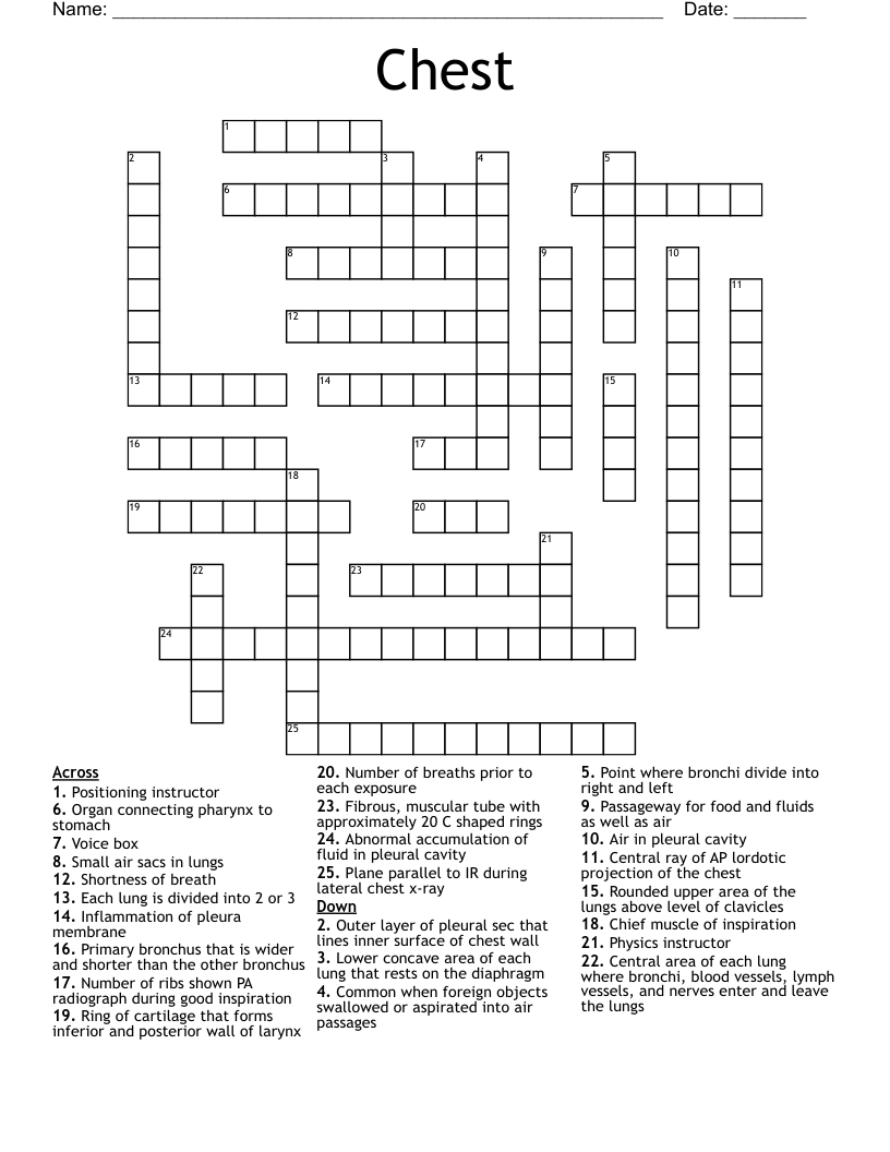 Chest Crossword WordMint