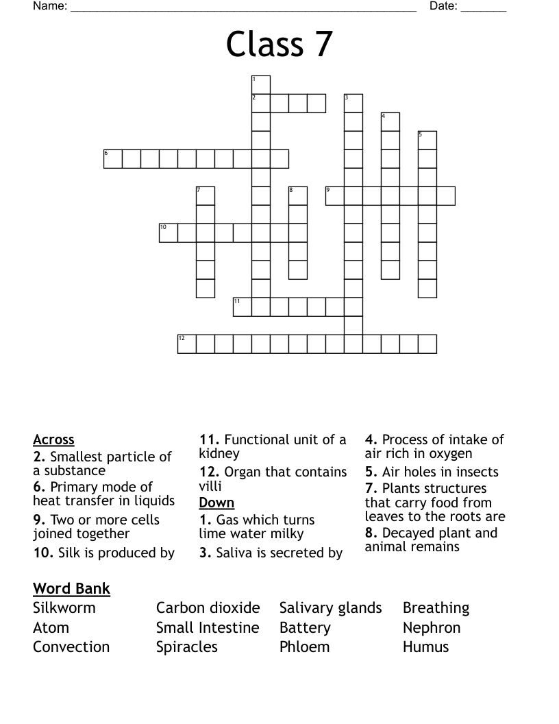 Class 7 Crossword WordMint